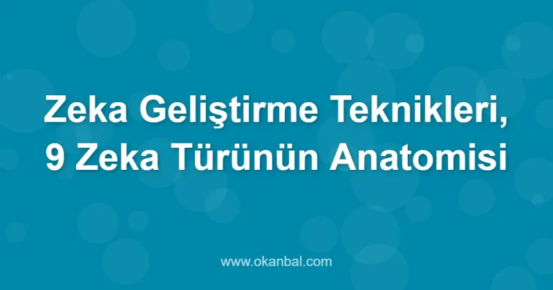 Zeka Geliştirme Teknikleri, 9 Zeka Türünün Anatomisi