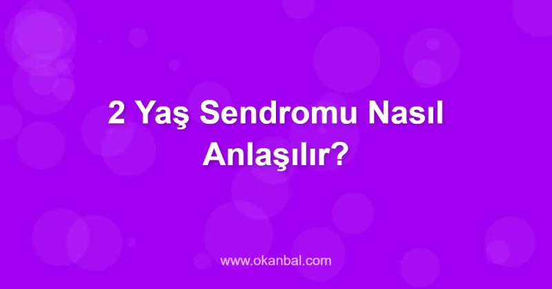 2 Yaş Sendromu Nasıl Anlaşılır?
