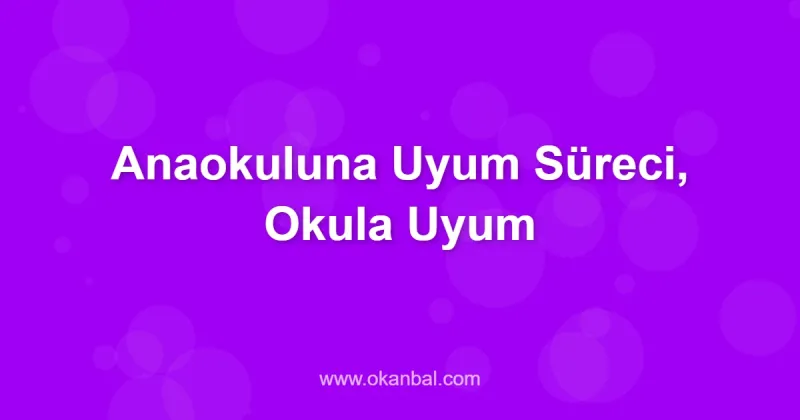 Anaokuluna Uyum Süreci, Okula Uyum