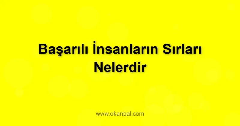 Başarılı İnsanların Sırları Nelerdir