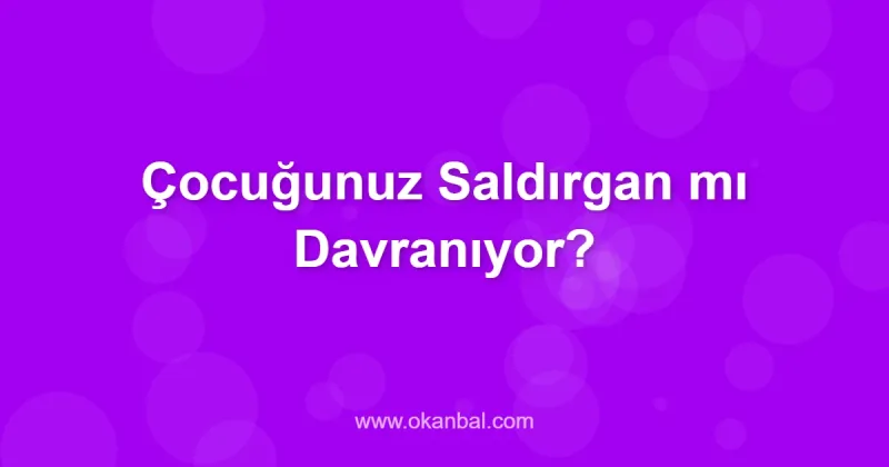 Çocuğunuz Saldırgan mı Davranıyor?