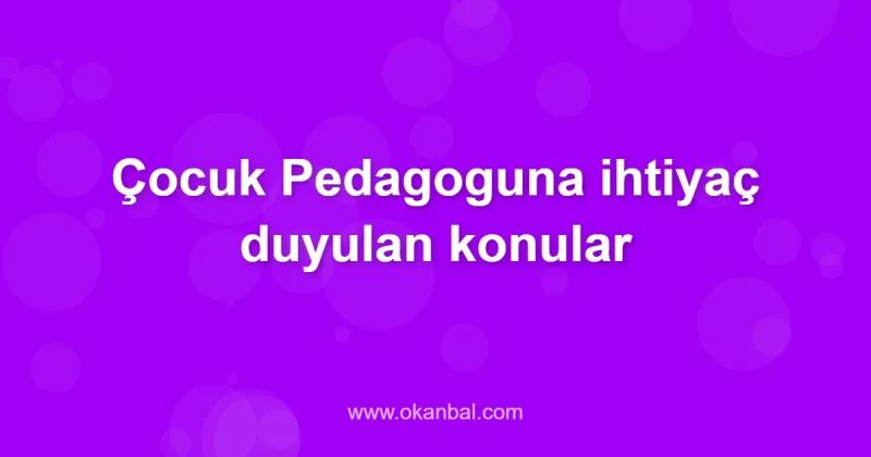 Çocuk Pedagoguna ihtiyaç duyulan konular