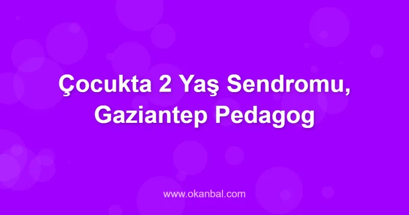 Çocukta 2 Yaş Sendromu, Gaziantep Pedagog