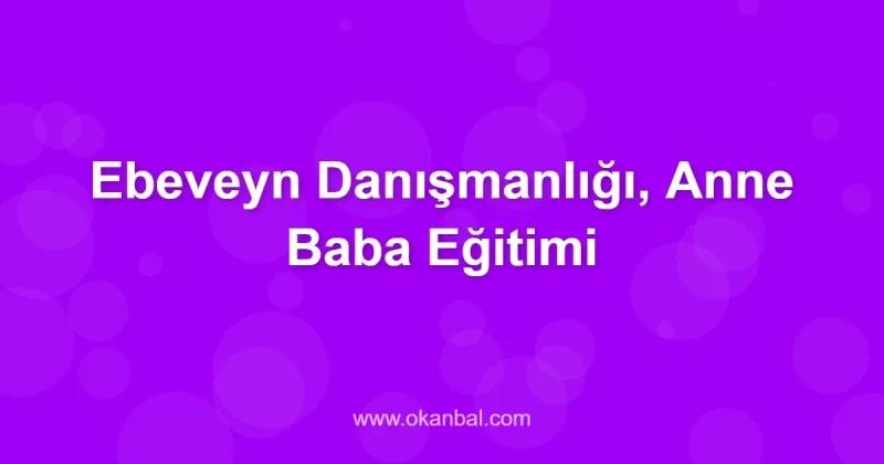 Ebeveyn Danışmanlığı, Anne Baba Eğitimi