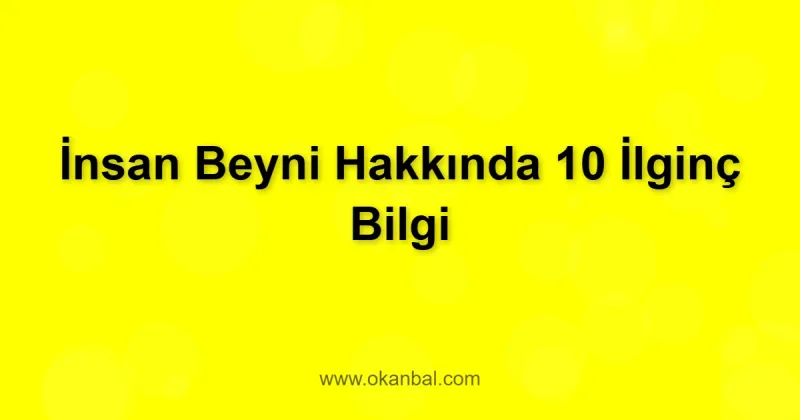 İnsan Beyni Hakkında 10 İlginç Bilgi