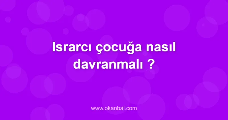 Israrcı çocuğa nasıl davranmalı ?