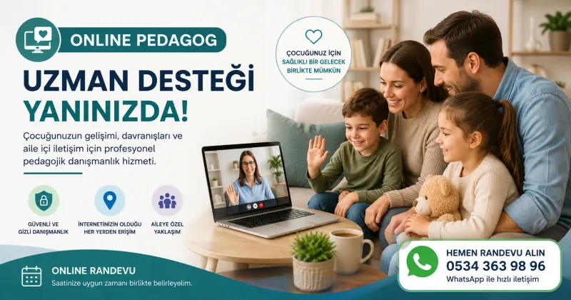 Online Pedagog