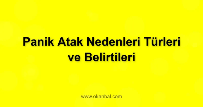 Panik Atak Nedenleri Türleri ve Belirtileri