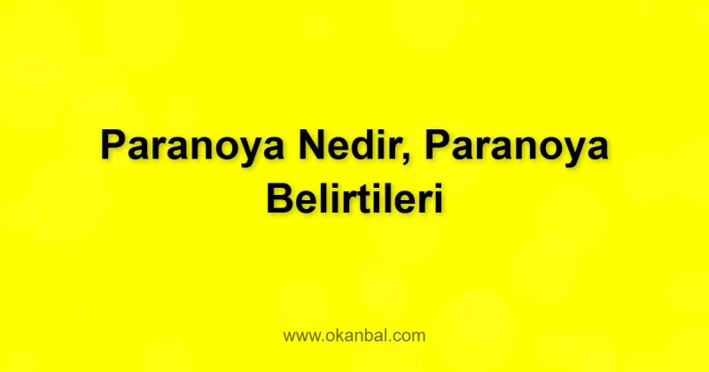 Paranoya Nedir, Paranoya Belirtileri