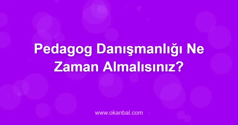 Pedagog Danışmanlığı Ne Zaman Almalısınız?