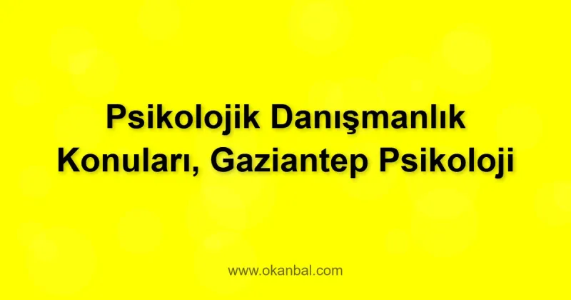 Psikolojik Danışmanlık Konuları, Gaziantep Psikoloji