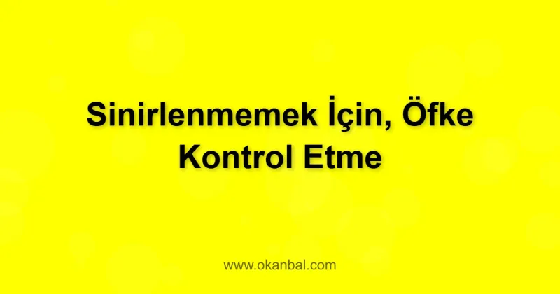 Sinirlenmemek İçin, Öfke Kontrol Etme