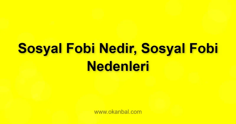 Sosyal Fobi Nedir, Sosyal Fobi Nedenleri