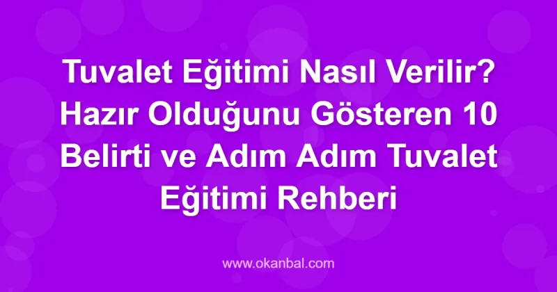 Tuvalet Eğitimi Nasıl Verilir? Hazır Olduğunu Gösteren 10 Belirti ve Adım Adım Tuvalet Eğitimi Rehberi