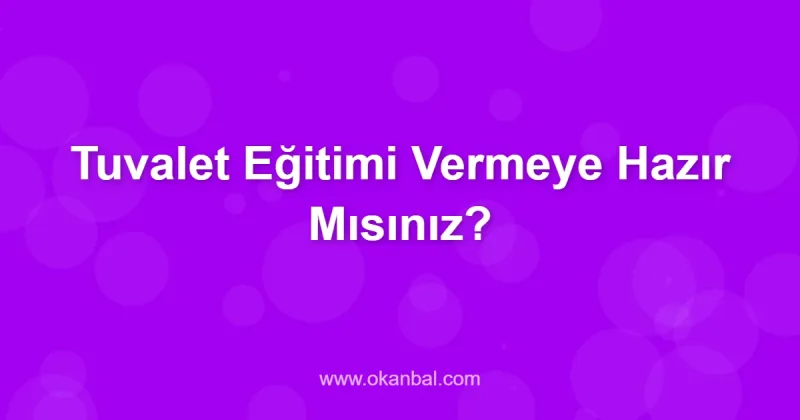 Tuvalet Eğitimi Vermeye Hazır Mısınız?
