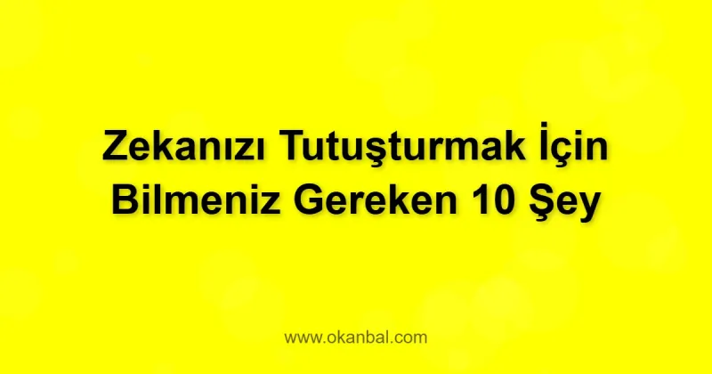 Zekanızı Tutuşturmak İçin Bilmeniz Gereken 10 Şey