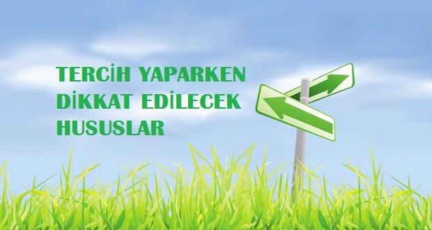 tercih danismani