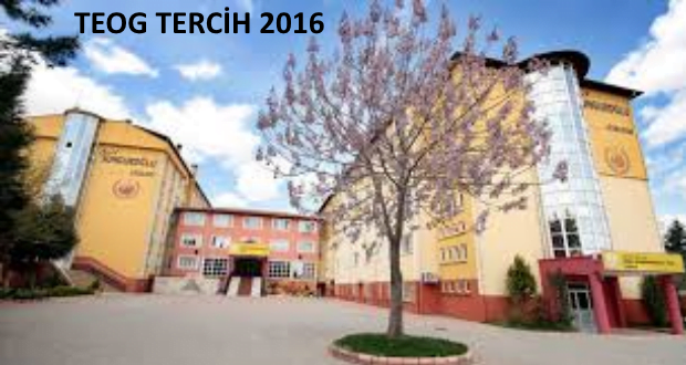 teog tercih1