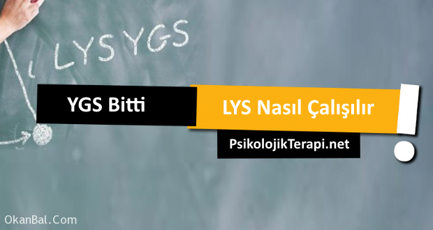 ygs lys nasil calisir ogrenci kocu psikolog online terapi gaziantep