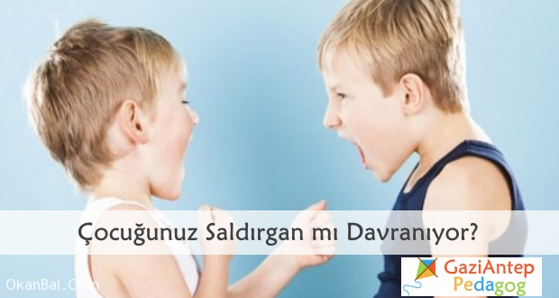 cocuklarda saldırganlık siddet gaziantep pedagog cocuk psikolog