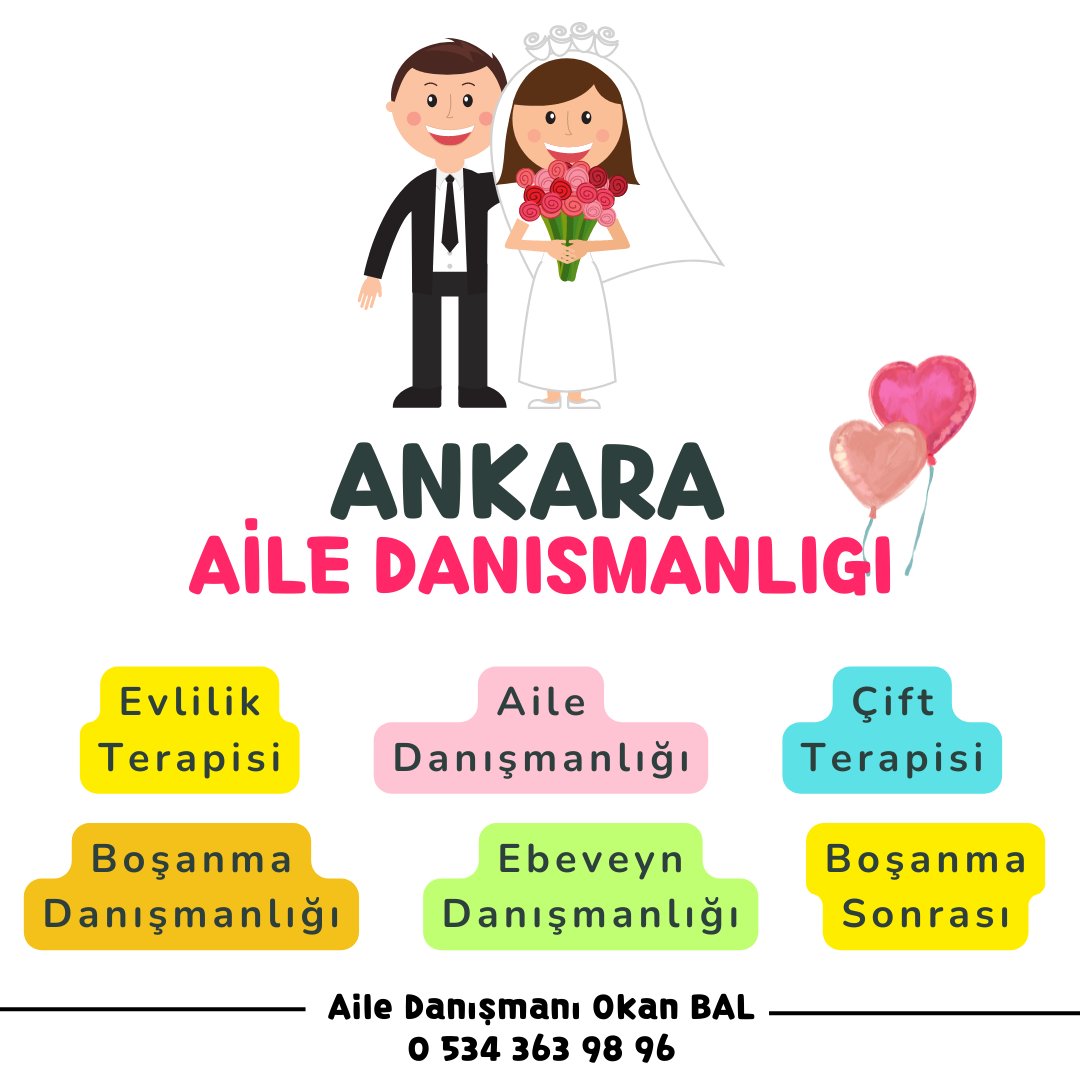 Ankara Pedagog 2